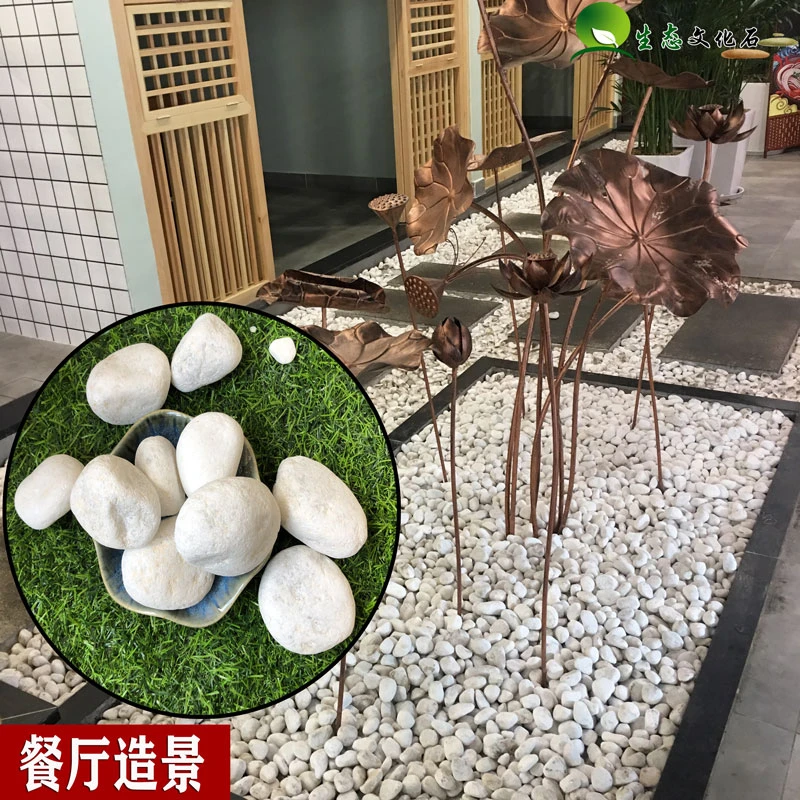 天然鹅卵石雨花石五彩鱼缸石子多肉小石子白色小石子