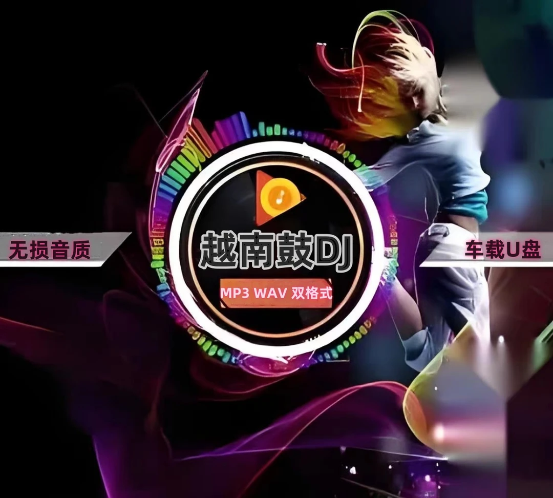 越南鼓DJ车载音乐u盘劲爆酒吧重低音无损高音质黑胶品质迷你u盘