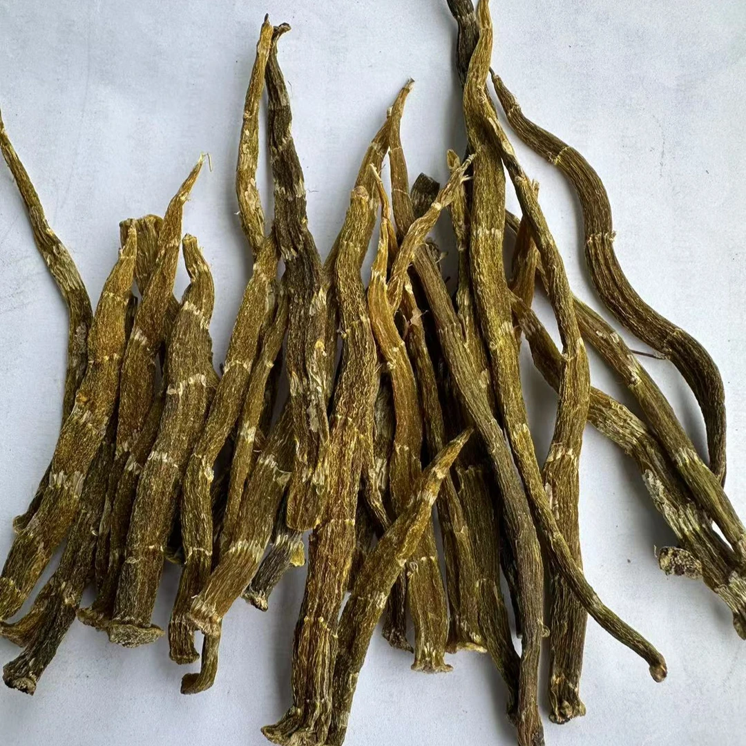 【珍虫石斛】 嫩芽条石斛参 珍虫石斛250克500克