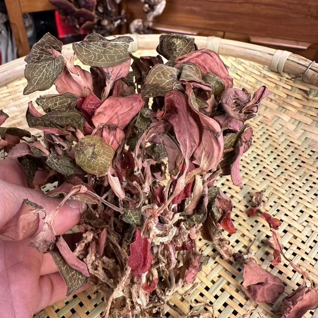下山货整株 金线莲 搭配煮水可搭配参
