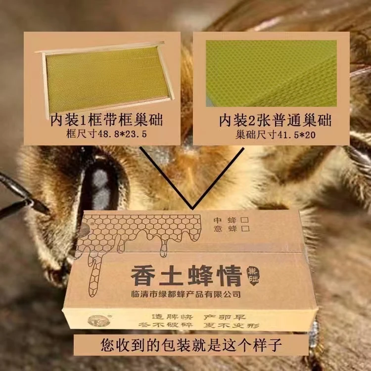 中蜂试用装1张带框2张散装巢础
