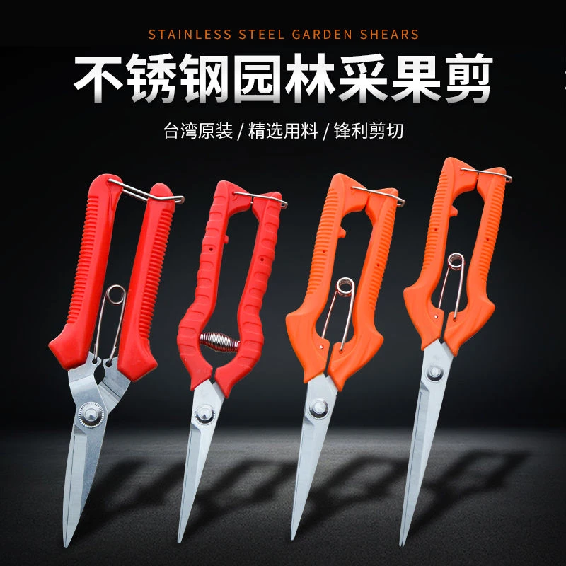 稀果采摘剪刀疏果园艺细枝锯子剪葡萄树槟榔桔子柑橘修花剪