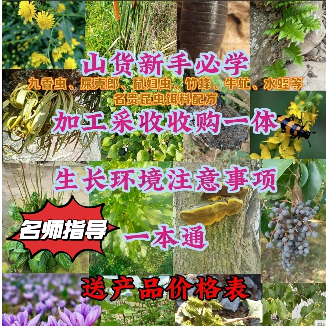 内部资料植物昆虫类采收加工方法及饵料配方