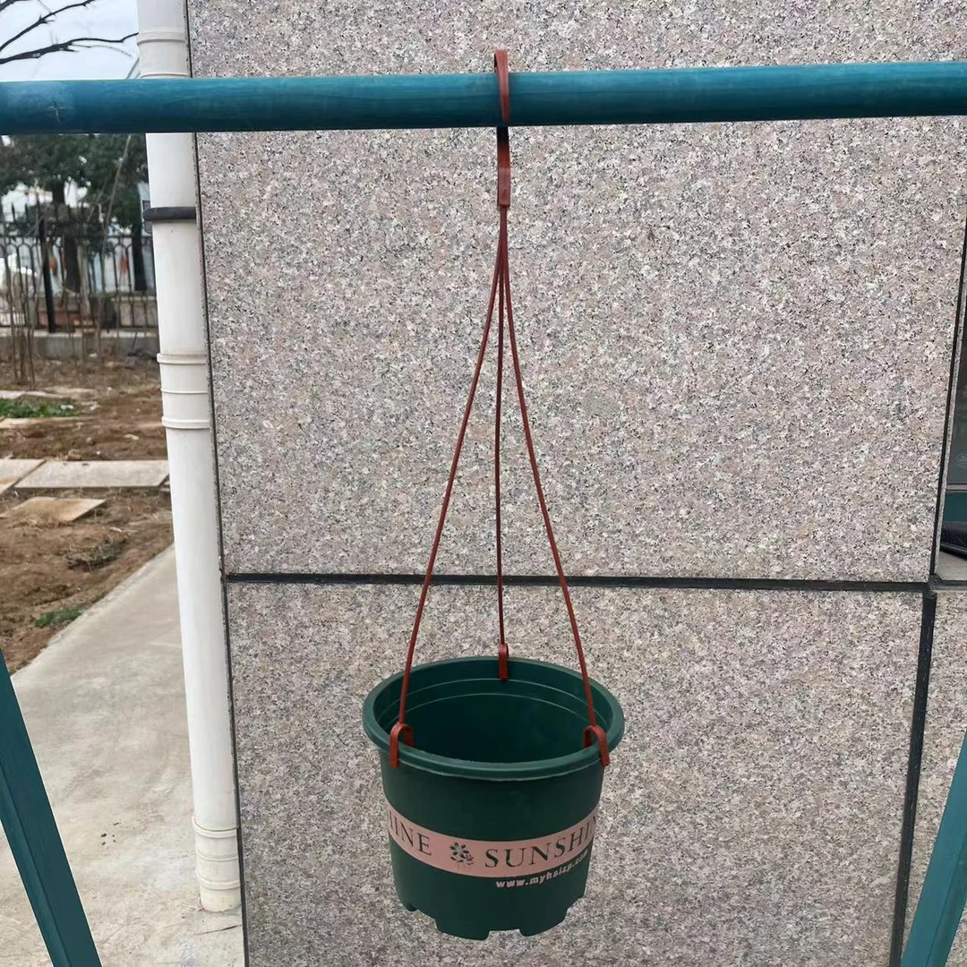 球兰绿色加仑盆攀爬花架挂钩适用于各种攀爬花卉挂钩