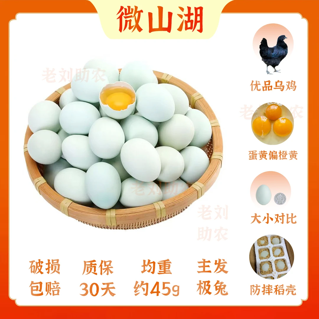微山湖|绿壳乌鸡蛋9/10-50枚蛋黄时深时浅不稳定理性下单新鲜优品