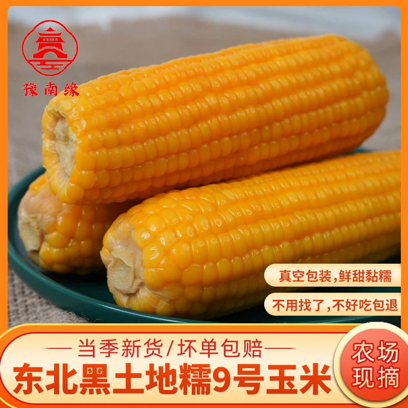 产地直发⭐️真宗东北黑土地黄糯9号甜粘玉米真空包装农家好货200g+