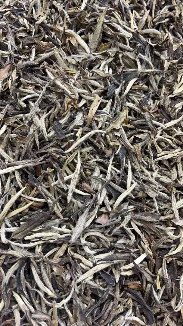 【庆祝康潮一品3周年】福鼎白茶2011年特级白牡丹 散茶 白茶