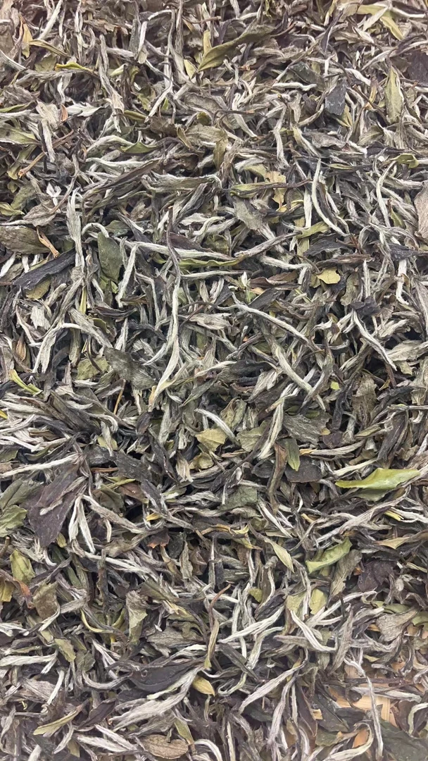 【康潮一品】福鼎白茶2015年日晒老树一级白牡丹 散茶 白茶