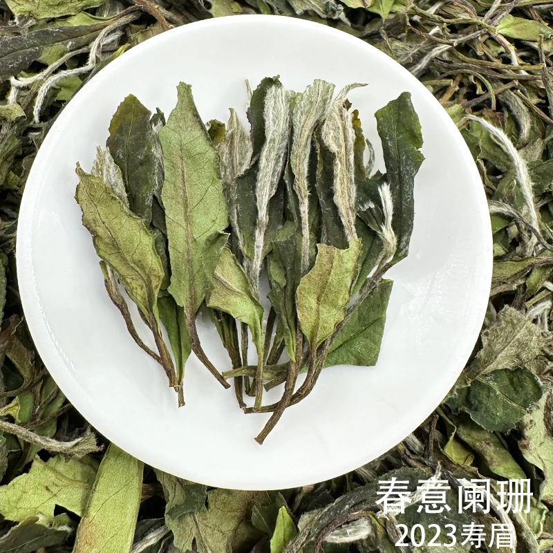 【康潮一品】福鼎白茶春意阑珊 2023年春寿眉 散茶 白茶