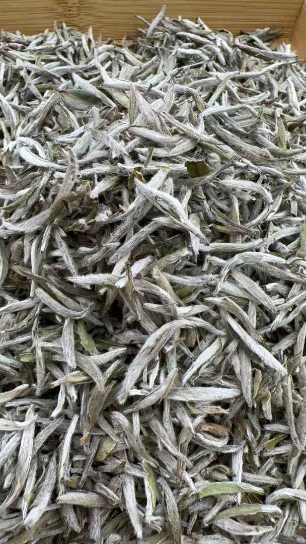 【康潮一品】福鼎白茶2021年白毫银针 散茶 白茶