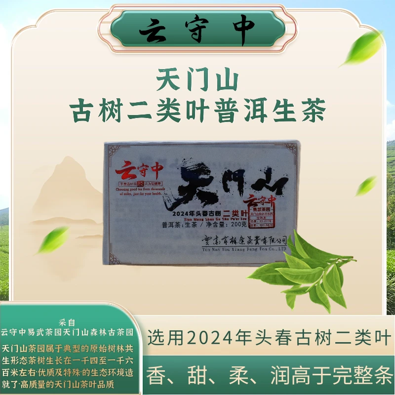 【大宝专属】2024年云守中 天门山(古树二类叶)  普洱生茶200g/砖
