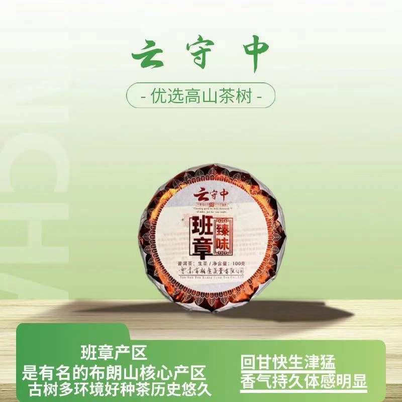 云守中  班章臻味 普洱茶生茶100g饼