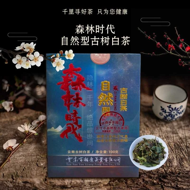 （每拍2盒配1个礼袋）云守中 森林时代 自然型古树  白茶100g/盒
