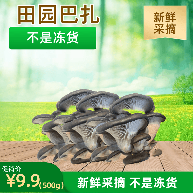 乌市包邮福利新鲜采摘 现采现发不是冻货 水灵儿可口的蘑菇500g