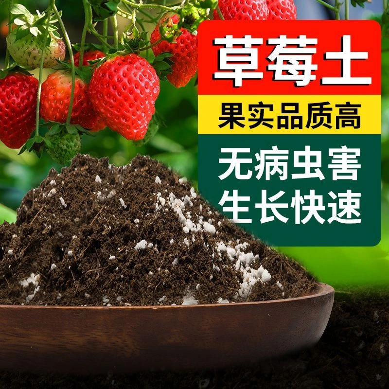 草莓专用土种植营养土草莓苗盆栽阳台养花土通用有机土肥料育苗土