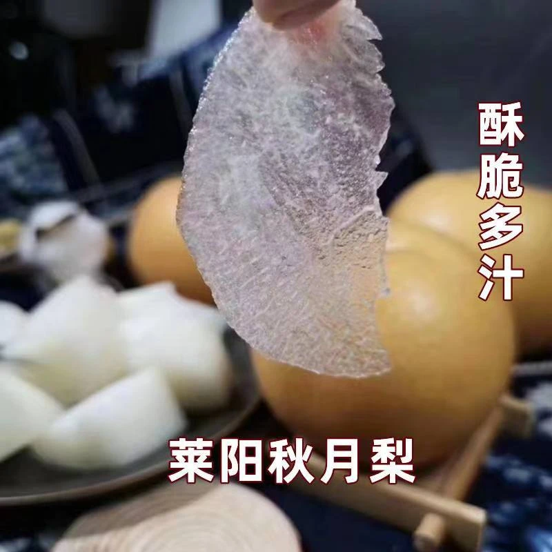 正宗山东莱阳秋月梨现摘现发果园直发新鲜皮薄汁水充足