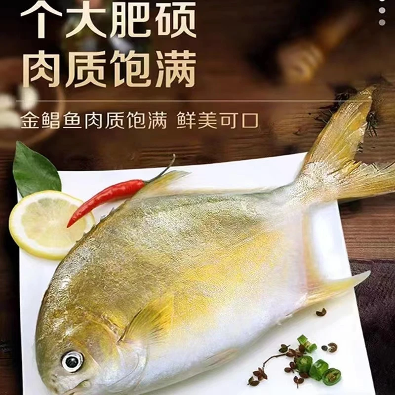 【到手4斤金鲳鱼】广东新鲜金鲳鱼海鲜金鲳鱼1斤2条250克-300克/条