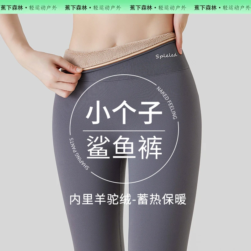 蕉下森林小个子八分鲨鱼裤女加绒加厚2025秋冬外穿高腰芭比打底裤