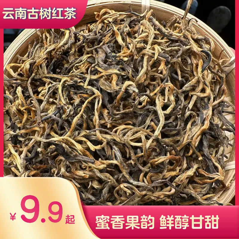 云南古树红茶滇红茶头春