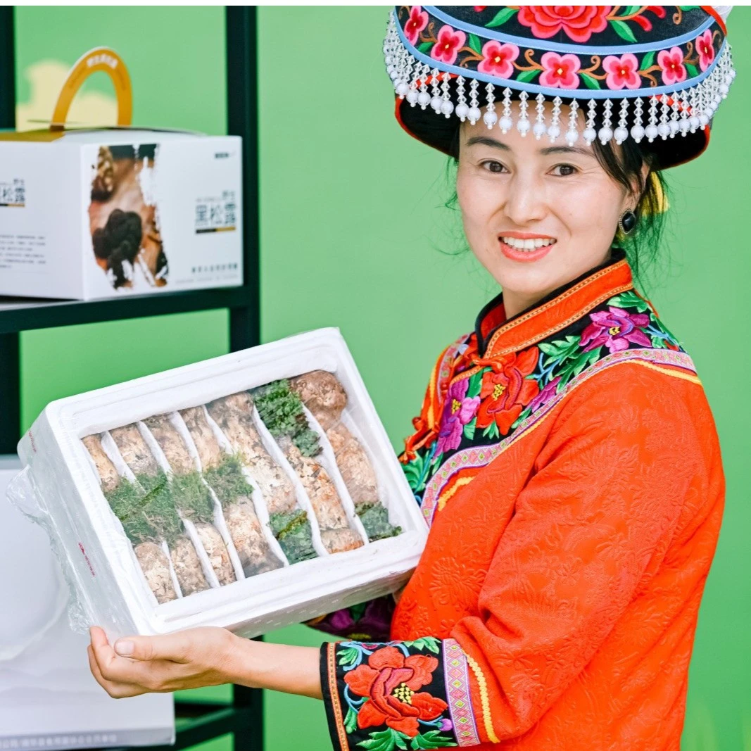 2025菌里挑一新鲜松茸1000克装电商专供南华美食文化节专属