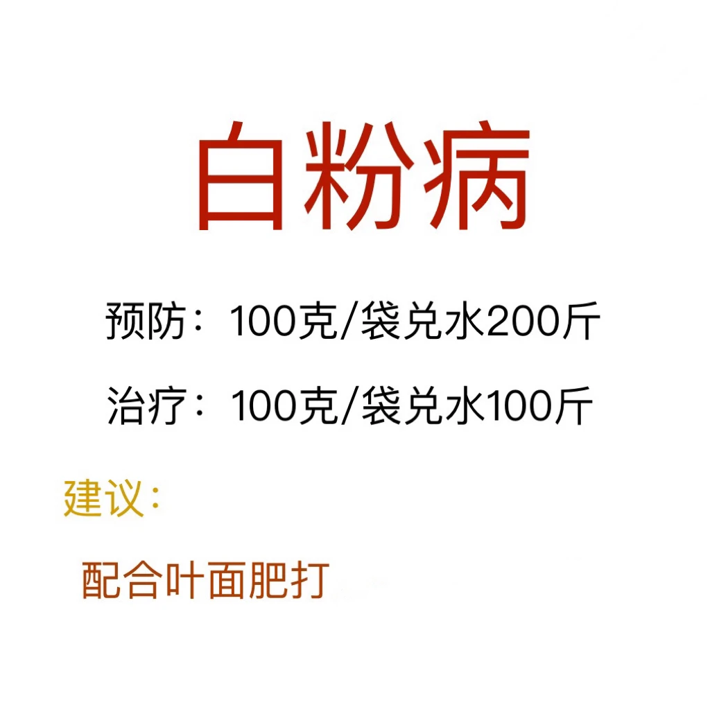 白粉病 叶噴方案 配合 叶面肥打