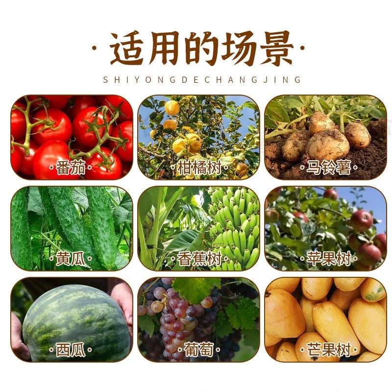 美甜 治炭疽 叶斑 叶面噴施 添加剂