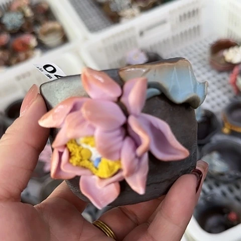 瓷片柴烧柴烧柴烧047