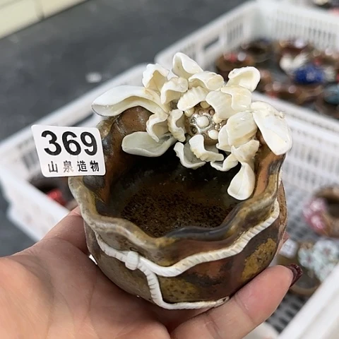 瓷片T****柴烧柴烧柴烧369