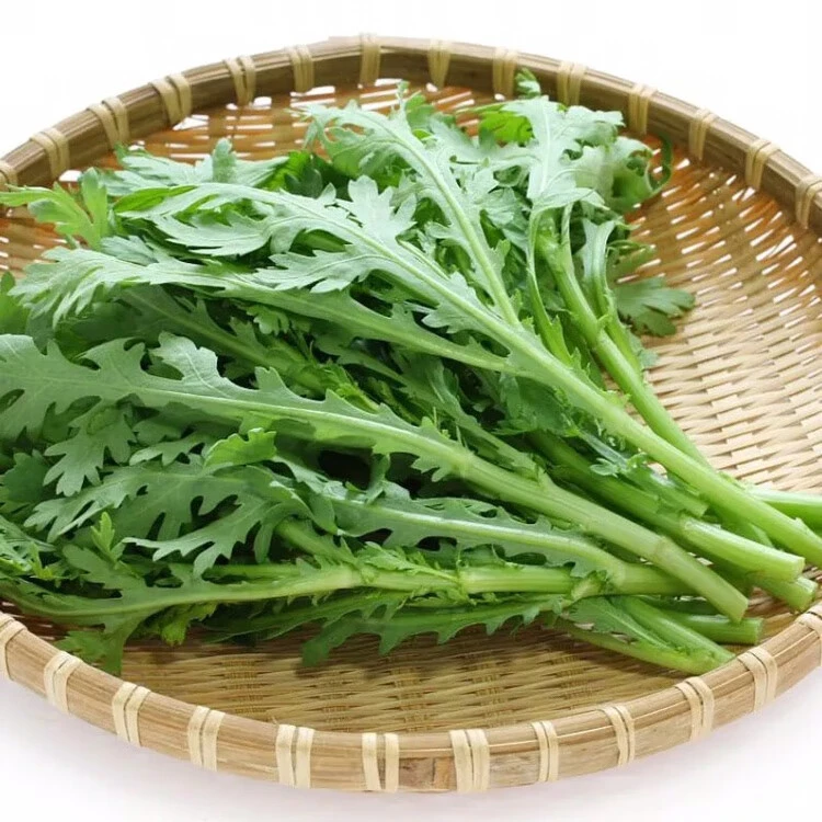 徐闻送上门-小叶茼蒿菜