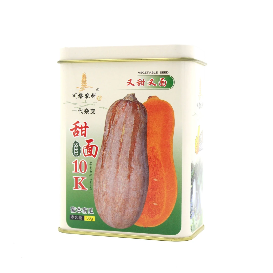 川塔甜面10K   南瓜种子  又甜又面   抗病易种植  产量高 适应强