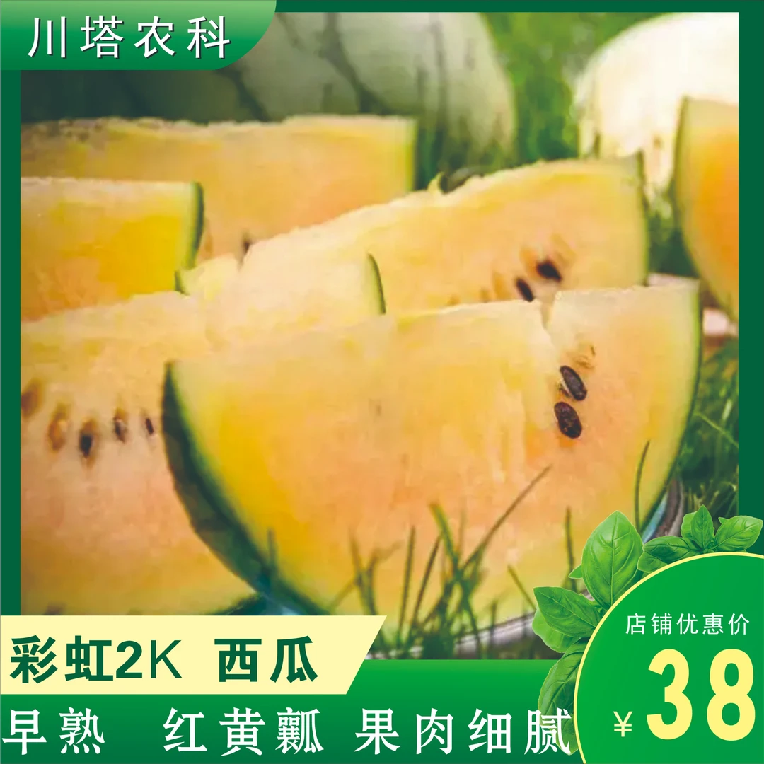 川塔精品彩虹2k礼品西瓜种子 红黄瓤 甜度可达12以上 果肉细腻