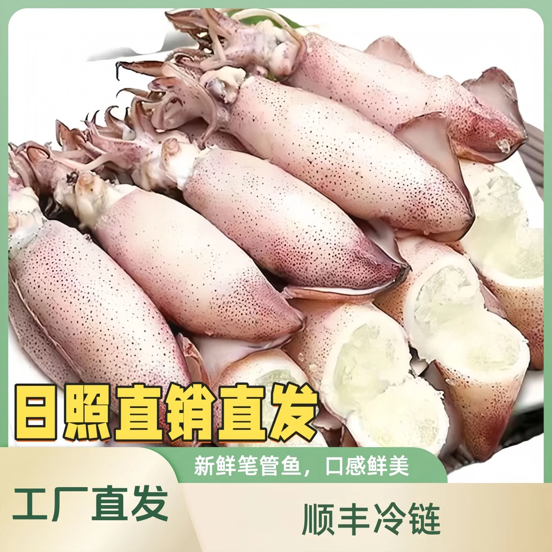 3包满籽鲜活笔管鱼带籽海兔鲜冻带籽籽乌