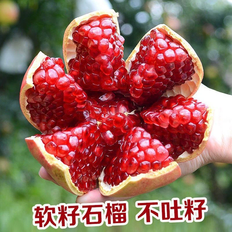 正宗突尼斯会理软籽石榴香甜果实饱满甜脆新鲜发货品质甄选多汁
