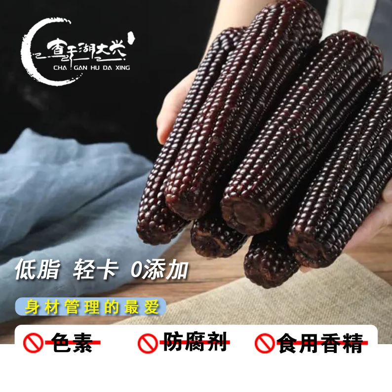 2024东北精品黑糯玉米香糯款黑土地单根250以上g整箱6斤以上
