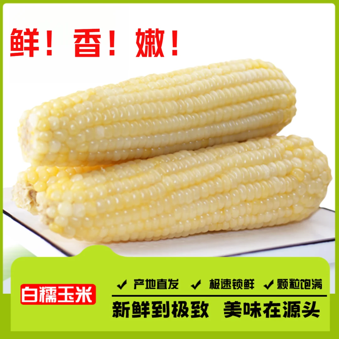 【试吃2根】到手10支2025年东北白糯玉米280-350g甜糯整箱5-6斤批发