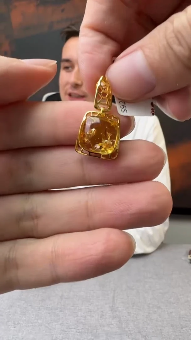 【闪购商品】琥珀颈饰银S925镶嵌305多样性