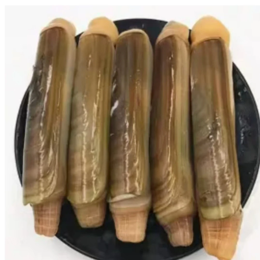 鲜活蛏子王250g