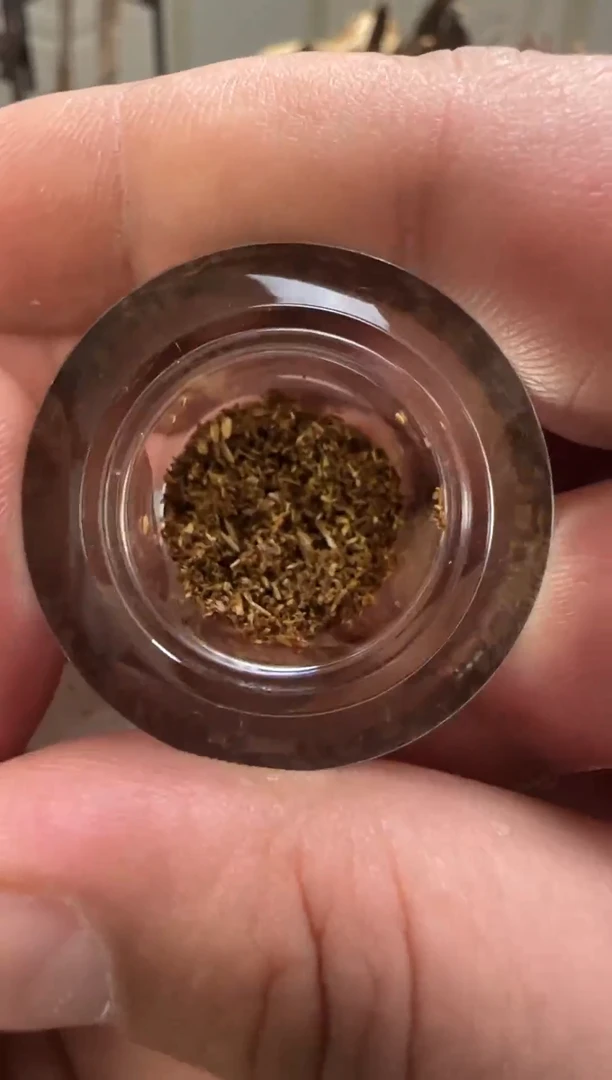 【闪购商品】越南紫奇楠沉香粉0.2g