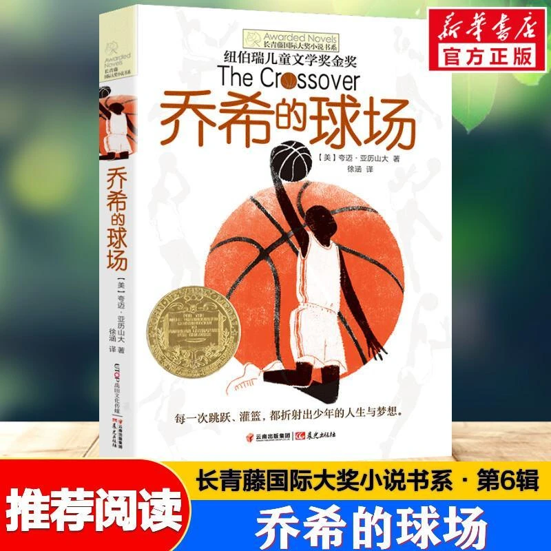 乔希的球场送书签  长青藤国际大奖小说7-12-14周岁中小学生三四