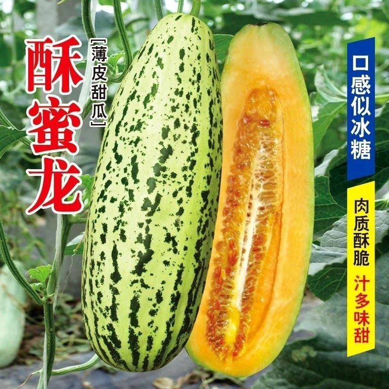 (买二送一)花皮牛角密种子酥蜜龙甜瓜种子简单易种四季水果种子
