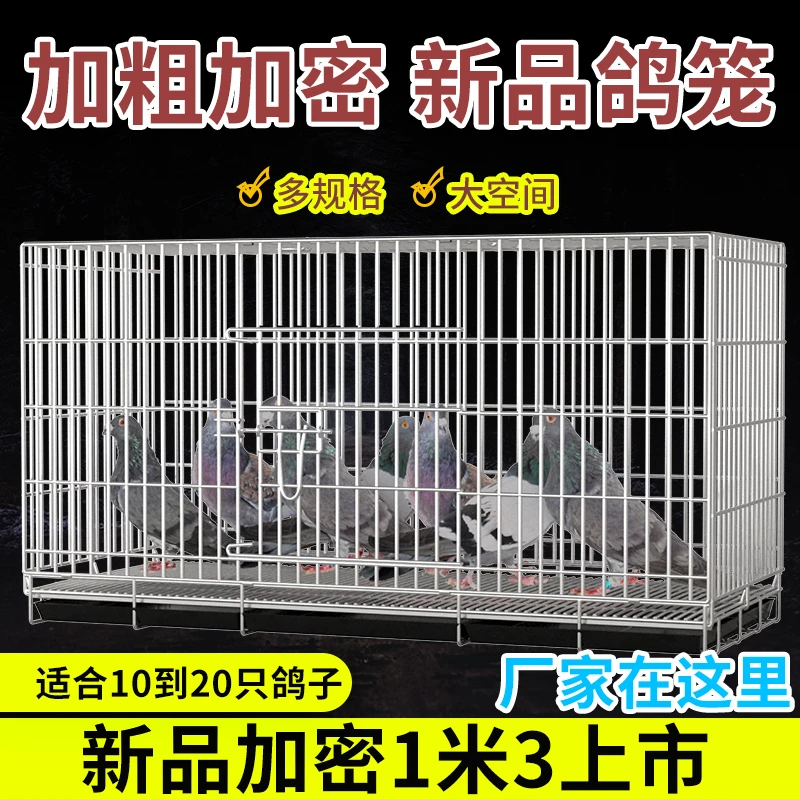 大体型特大号专业鸽子笼养殖专用笼配对鸽笼家用斑鸠踏笼家养室外