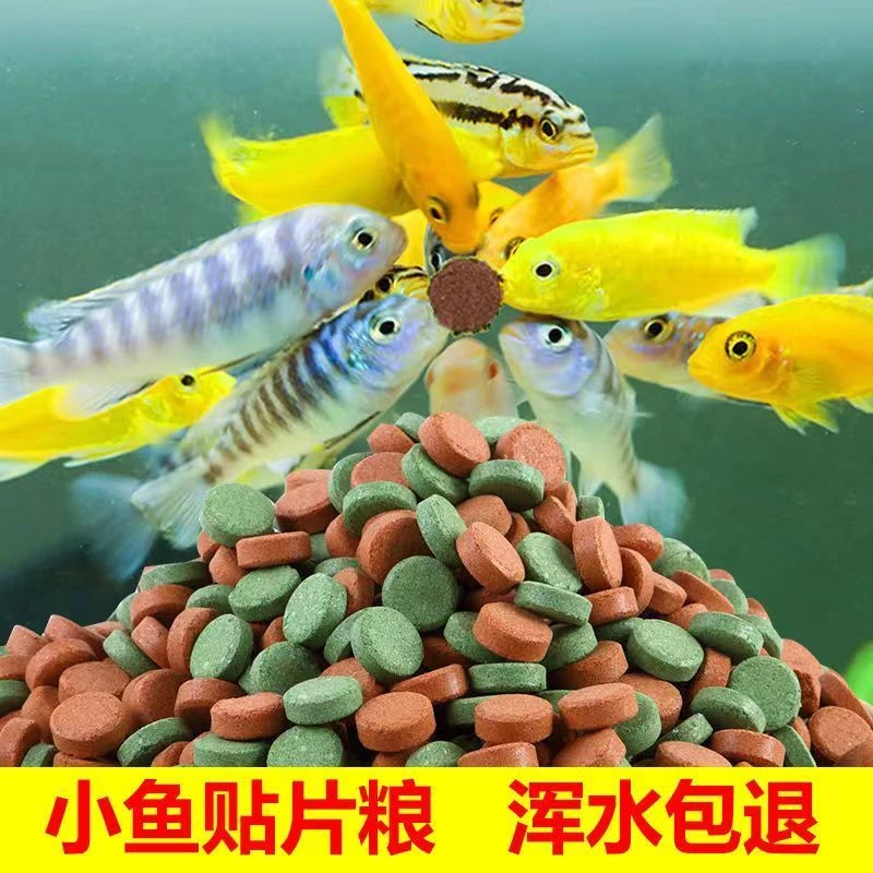 贴片鱼食小型鱼鱼粮鱼饲料孔雀鱼锦鲤金鱼灯科斗鱼热带观赏丰年虾
