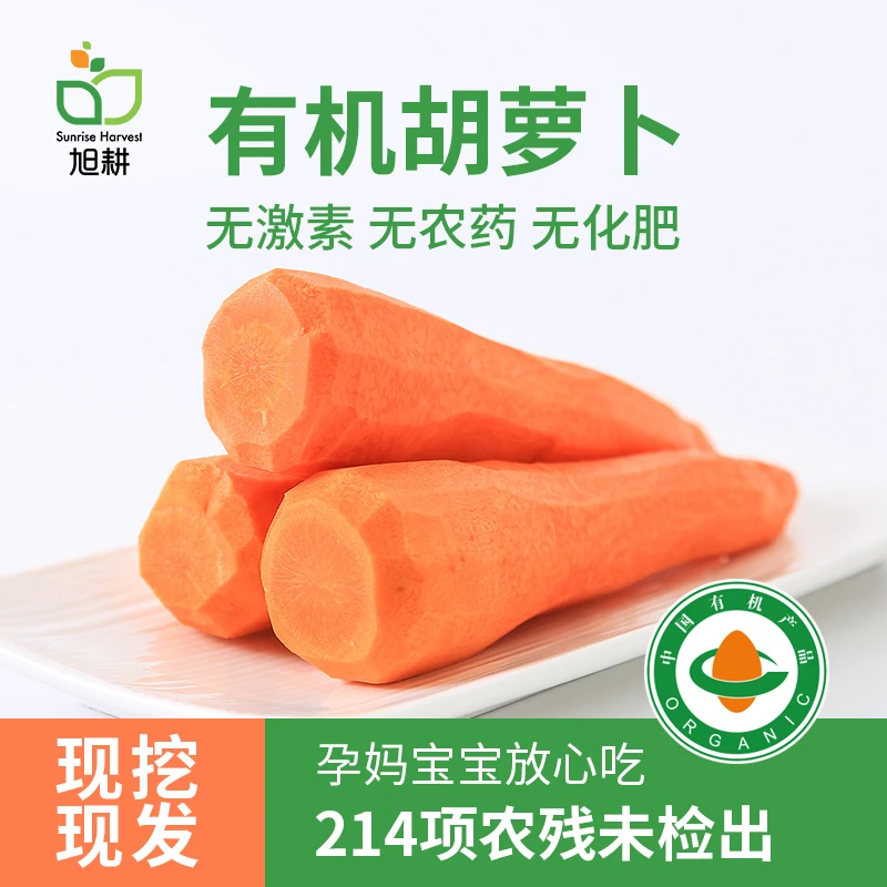 旭耕 有机胡萝卜1500g/2500g有机蔬菜榨汁食用家庭装 顺丰发货