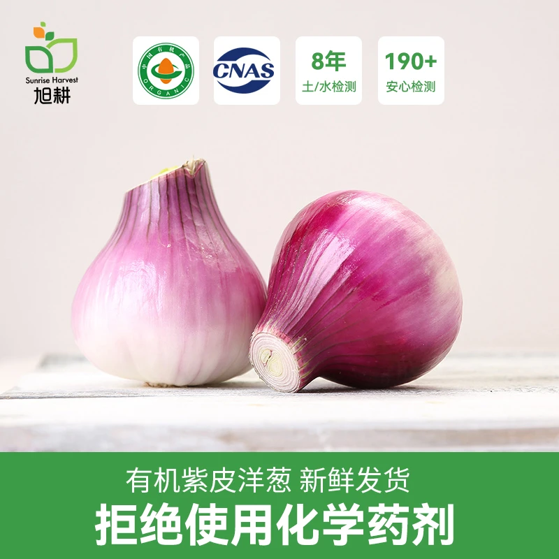 旭耕有机红圆葱3/5斤家庭装 有机洋葱紫皮洋葱新鲜圆葱头凉拌榨汁