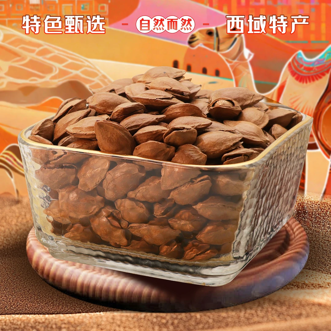 开口杏核坚果干果