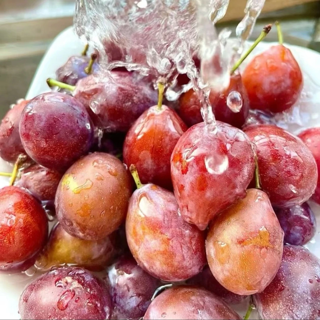 【深度洗净】新疆西梅-500g