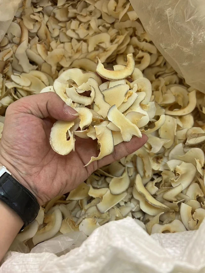 海底椰碎片 煲汤煲水 滋润 半斤装 足干 贝
