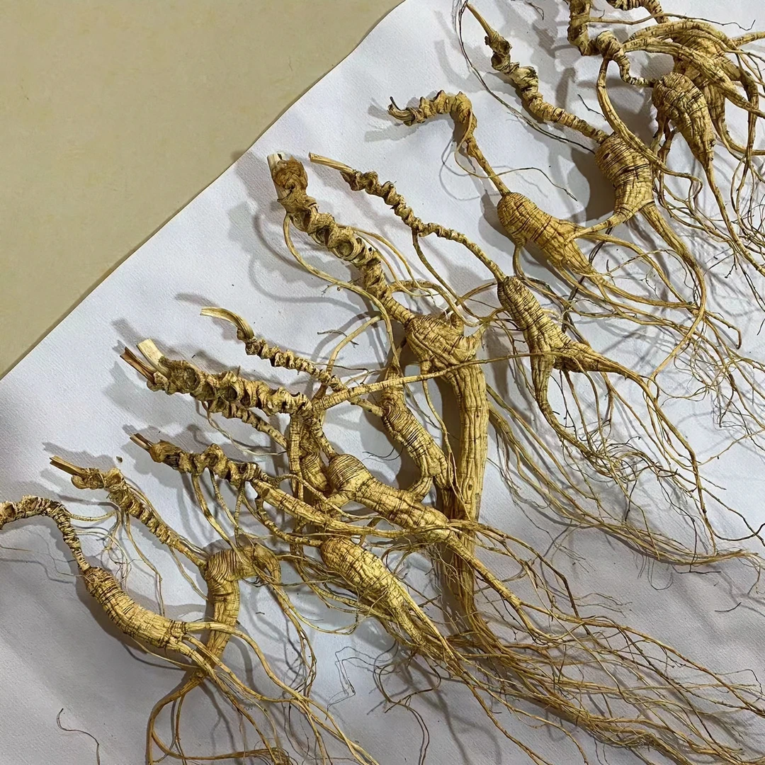 长白山林下  干货  山参