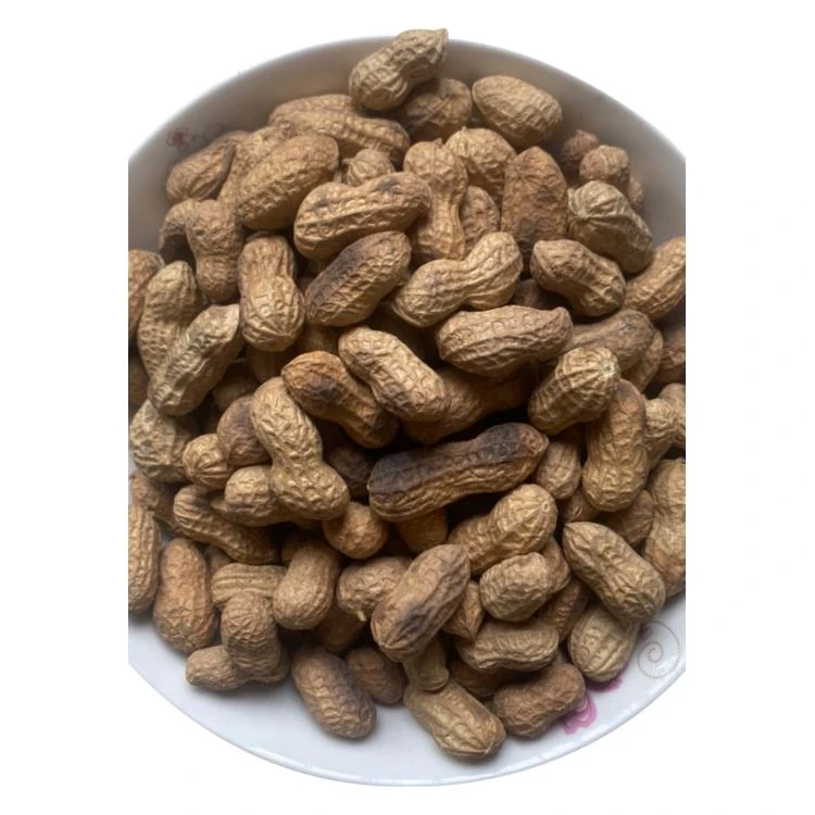 炒花生带壳原味大铁锅柴火炒花生农家手工老式地锅湿沙炒蒜味花生