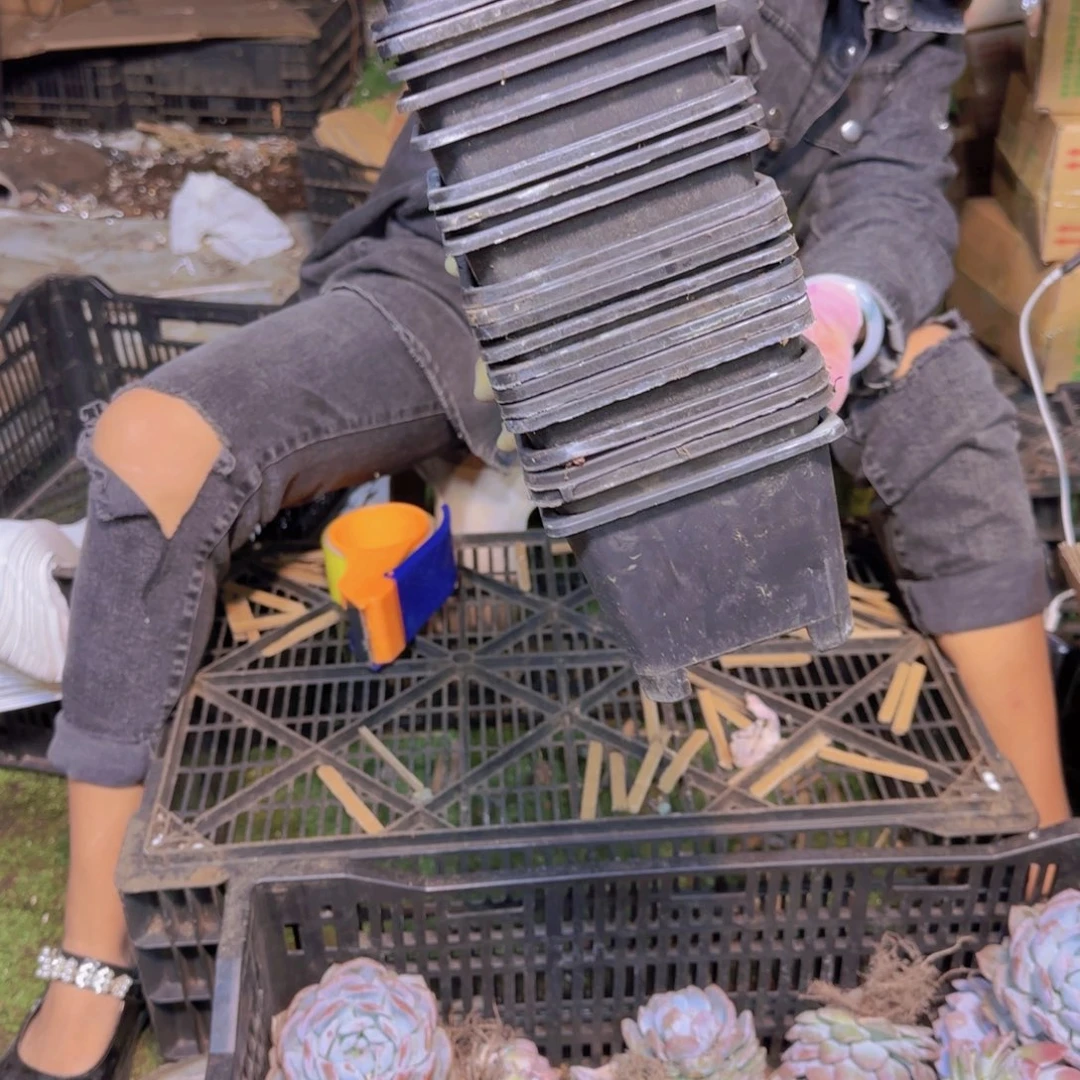 二手盘22个包邮包邮包邮